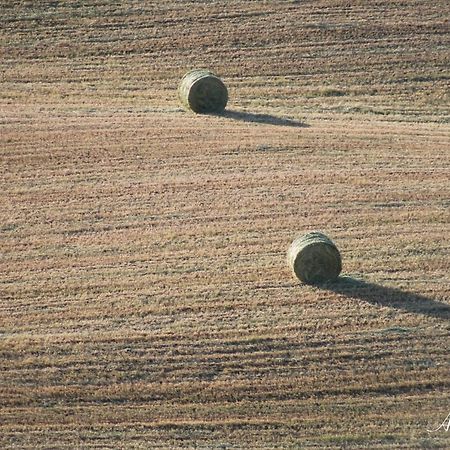 Soleluna San Quirico dʼOrcia Εξωτερικό φωτογραφία