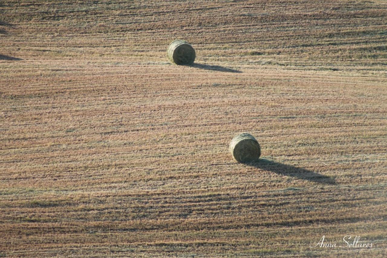 Soleluna San Quirico dʼOrcia Εξωτερικό φωτογραφία