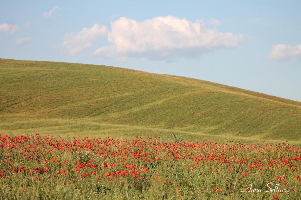 Soleluna San Quirico dʼOrcia Εξωτερικό φωτογραφία